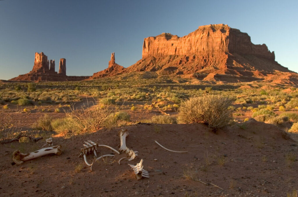 Paysage du Far West à Monument Valley avec des formations rocheuses emblématiques au coucher du soleil, illustrant l’esprit cowboy, la décoration western et l’aventure américaine